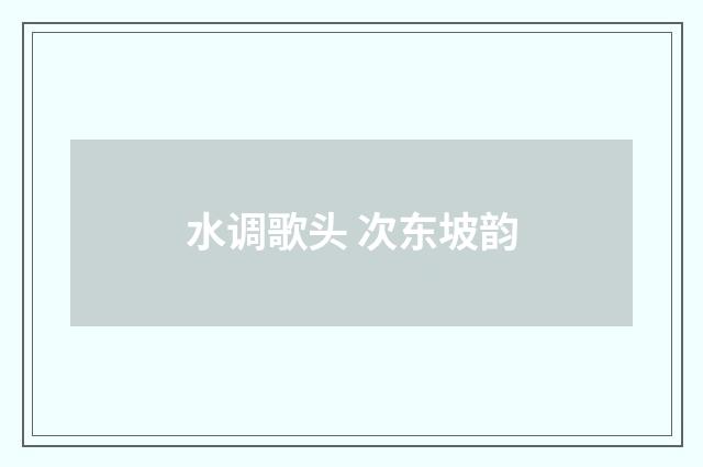 水调歌头 次东坡韵
