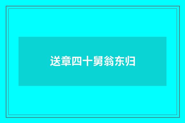 送章四十舅翁东归