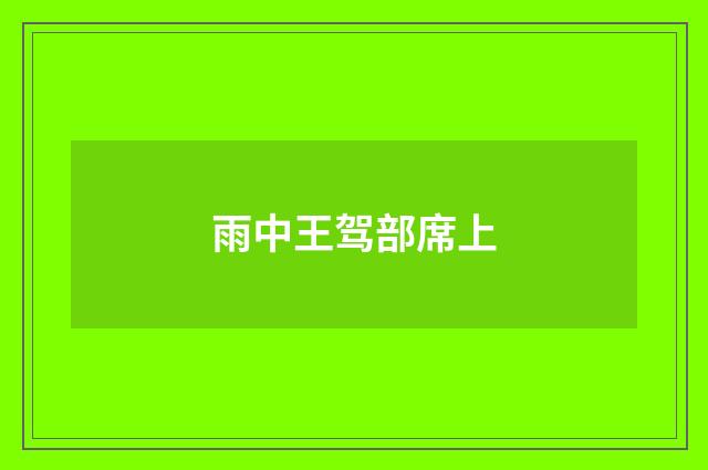 雨中王驾部席上