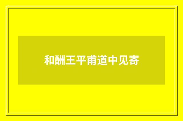 和酬王平甫道中见寄