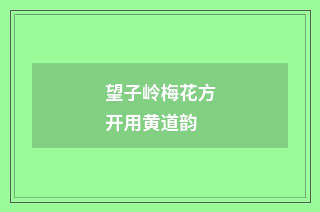 望子岭梅花方开用黄道韵
