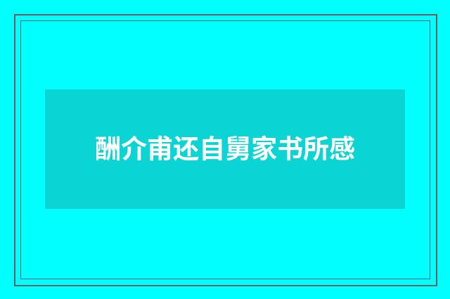 酬介甫还自舅家书所感