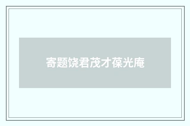 寄题饶君茂才葆光庵