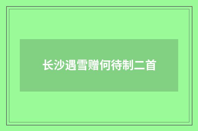 长沙遇雪赠何待制二首
