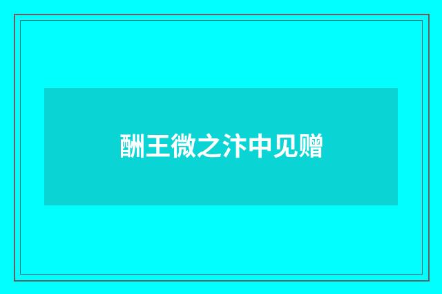 酬王微之汴中见赠