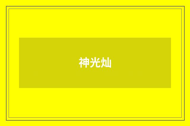 神光灿