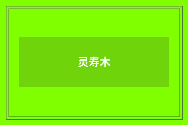 灵寿木
