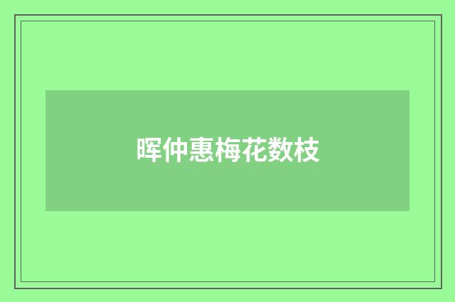 晖仲惠梅花数枝