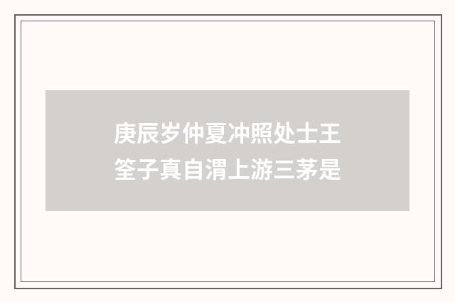 庚辰岁仲夏冲照处士王筌子真自渭上游三茅是