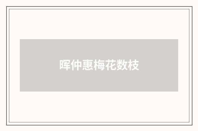 晖仲惠梅花数枝