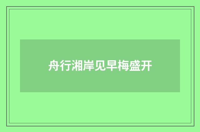 舟行湘岸见早梅盛开