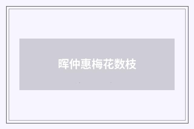 晖仲惠梅花数枝