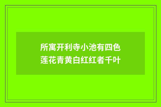所寓开利寺小池有四色莲花青黄白红红者千叶