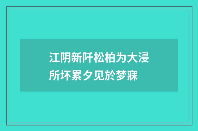 江阴新阡松柏为大浸所坏累夕见於梦寐