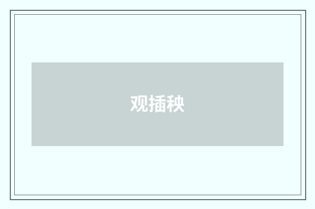 观插秧