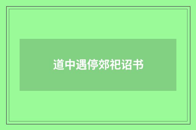 道中遇停郊祀诏书