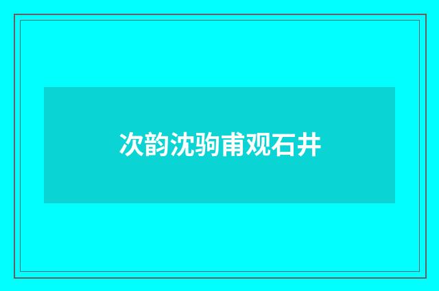 次韵沈驹甫观石井