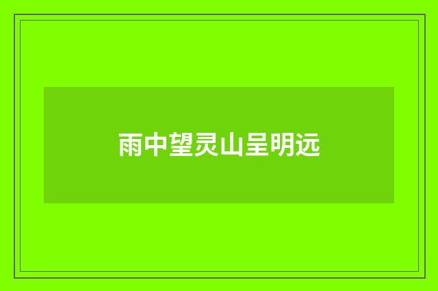 雨中望灵山呈明远