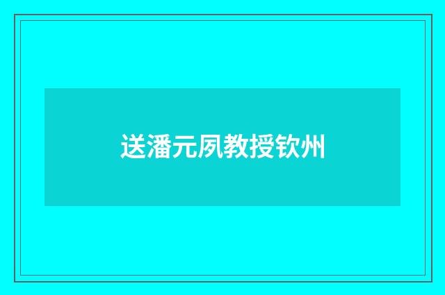 送潘元夙教授钦州