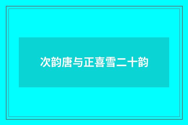 次韵唐与正喜雪二十韵