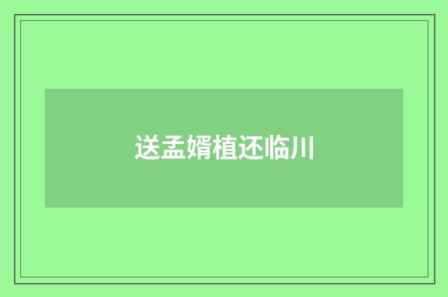 送孟婿植还临川