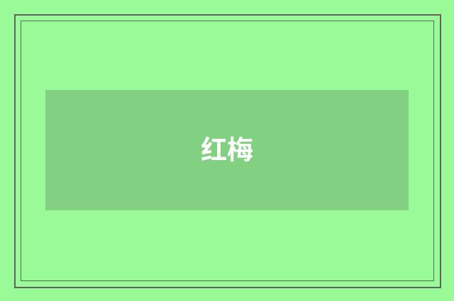红梅
