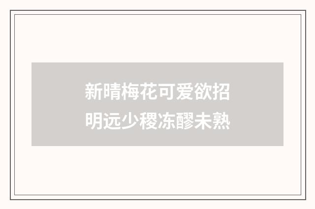 新晴梅花可爱欲招明远少稷冻醪未熟