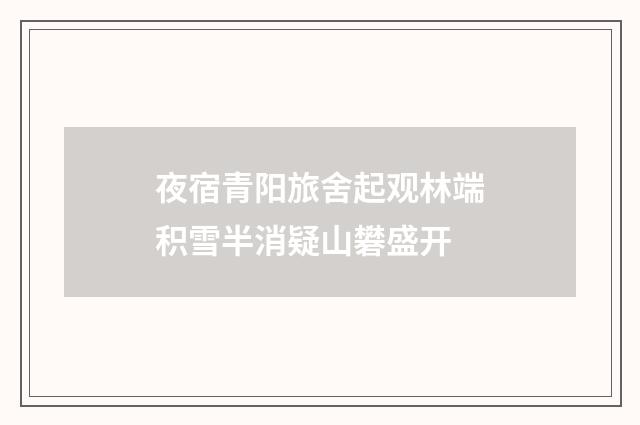 夜宿青阳旅舍起观林端积雪半消疑山礬盛开
