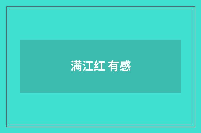 满江红 有感