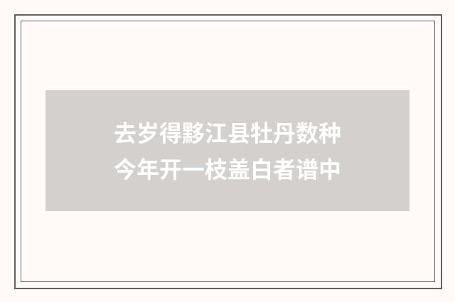 去岁得黟江县牡丹数种今年开一枝盖白者谱中