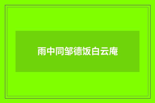 雨中同邹德饭白云庵