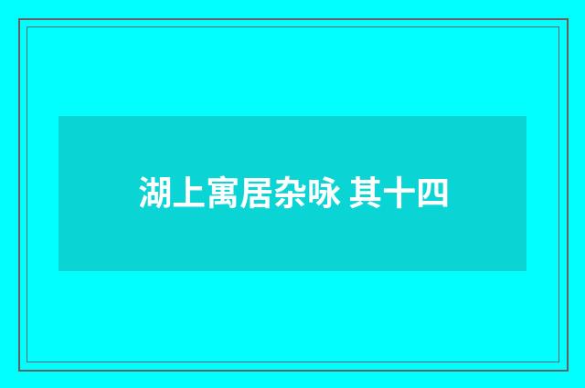 湖上寓居杂咏 其十四