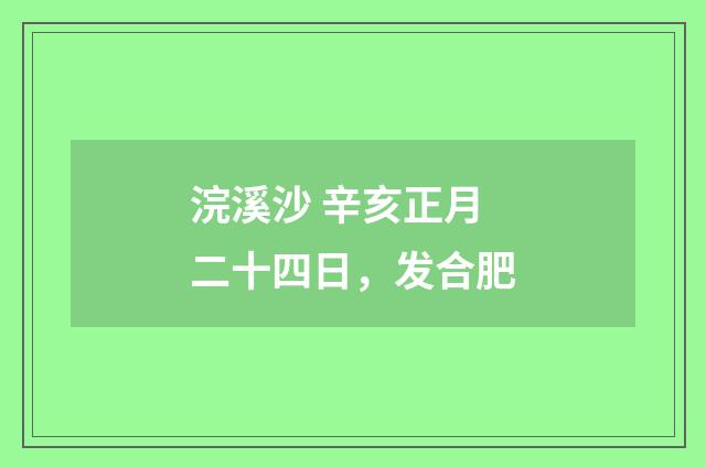 浣溪沙 辛亥正月二十四日，发合肥