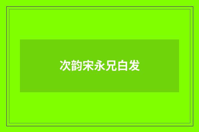 次韵宋永兄白发