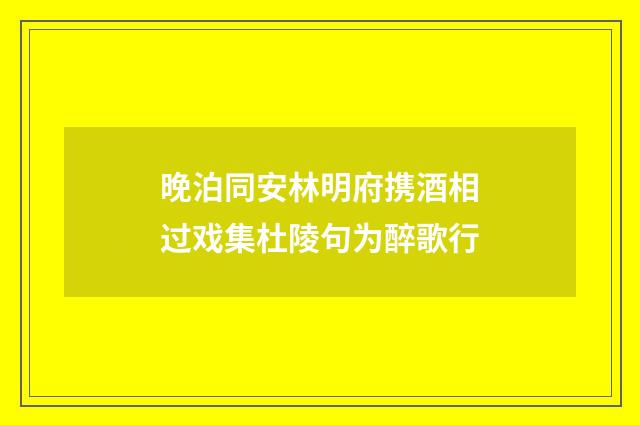 晚泊同安林明府携酒相过戏集杜陵句为醉歌行