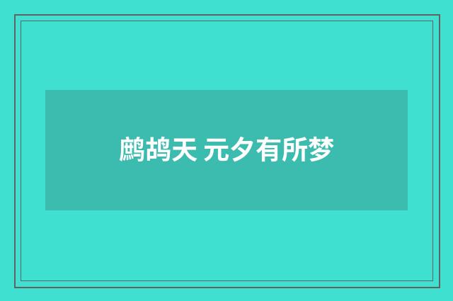鹧鸪天 元夕有所梦
