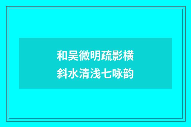 和吴微明疏影横斜水清浅七咏韵