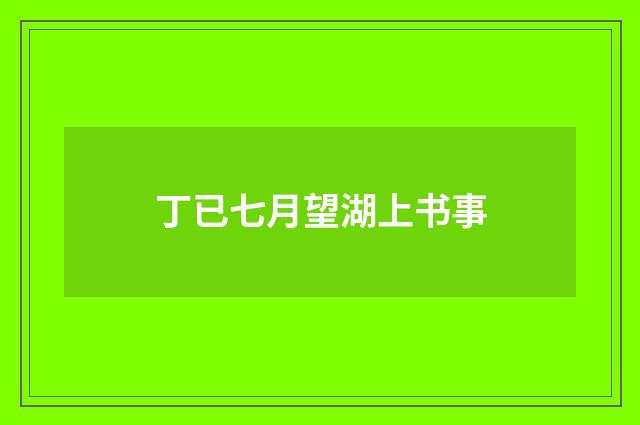 丁已七月望湖上书事