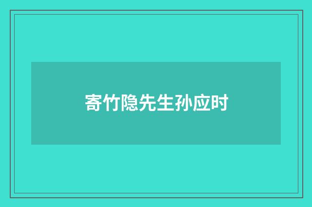 寄竹隐先生孙应时