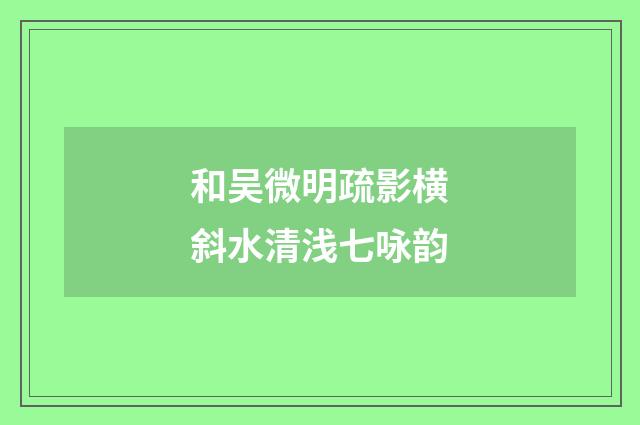和吴微明疏影横斜水清浅七咏韵
