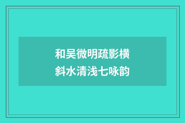和吴微明疏影横斜水清浅七咏韵