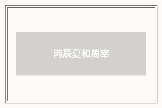 丙辰夏和周宰