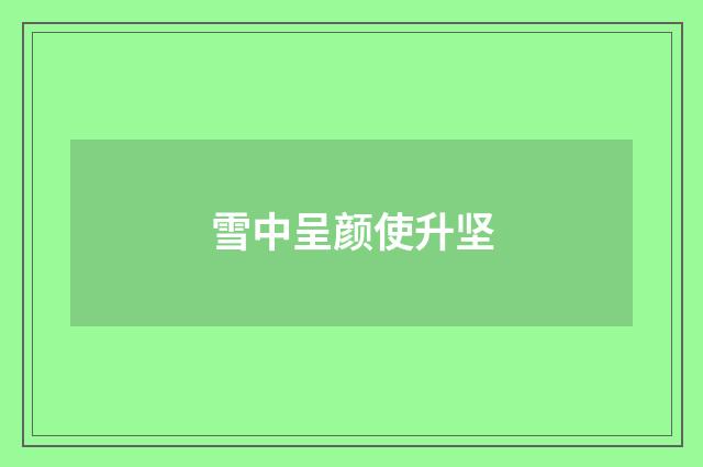 雪中呈颜使升坚