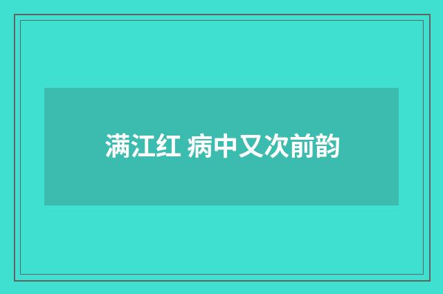 满江红 病中又次前韵
