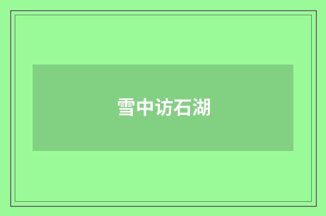 雪中访石湖
