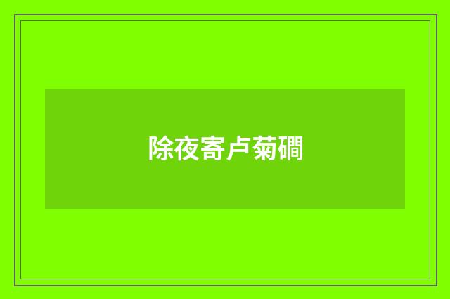 除夜寄卢菊磵