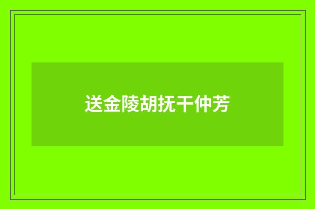 送金陵胡抚干仲芳