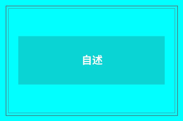 自述