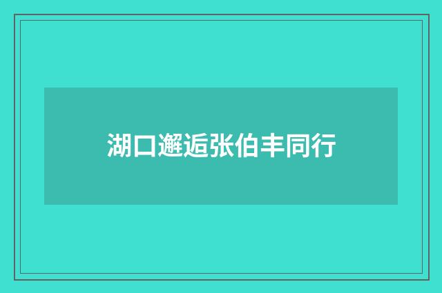 湖口邂逅张伯丰同行