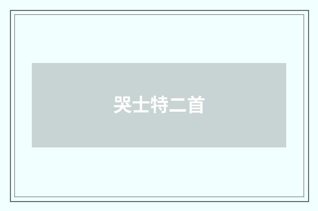 哭士特二首